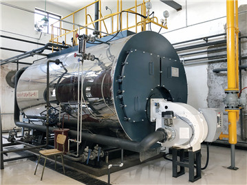 4吨燃气蒸汽锅炉(图1)